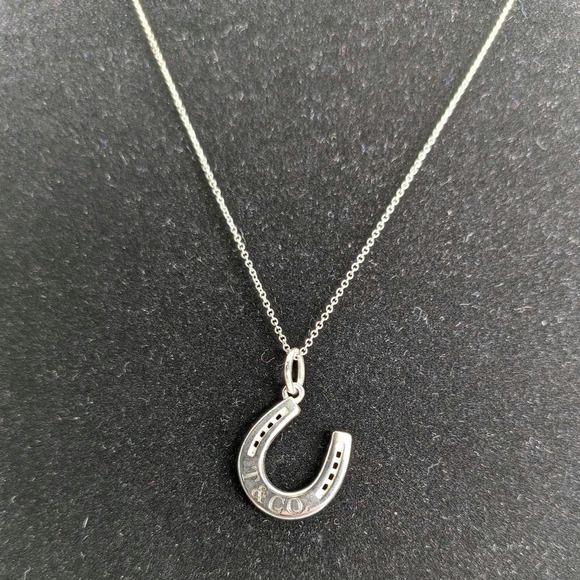 Tiffany & Co. Jewelry - Tiffany & Co. Sterling Horseshoe Necklace